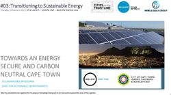 TOWARDS AN ENERGY SECURE AND CARBON NEUTRAL CAPE TOWN - Resilient Cities Network