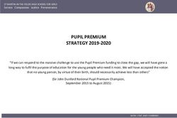 PUPIL PREMIUM STRATEGY 2019-2020 - St Martin-in-the-Field ...