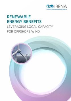 RENEWABLE ENERGY BENEFITS - LEVERAGING LOCAL CAPACITY FOR OFFSHORE WIND