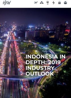 INDONESIA IN DEPTH: 2019 INDUSTRY OUTLOOK - HFW