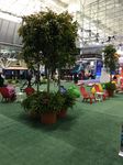 FLORAL EXPOSITIONS - *Discount pricing only applies to orders received and paid in full by October 16, 2021 - IAAPA
