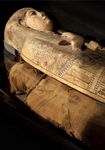 Why is the Mummy in Perth Museum? - Saving the Perth Mummy Conservation in Action: Culture Perth and ...