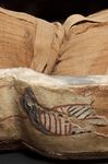Why is the Mummy in Perth Museum? - Saving the Perth Mummy Conservation in Action: Culture Perth and ...