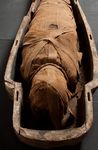 Why is the Mummy in Perth Museum? - Saving the Perth Mummy Conservation in Action: Culture Perth and ...