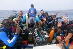 SODWANA BAY DIVING & ZULULAND SAFARI MAY 2020 - Dive Shack UK