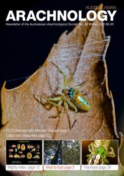 ARACHNOLOGY - Australasian ...
