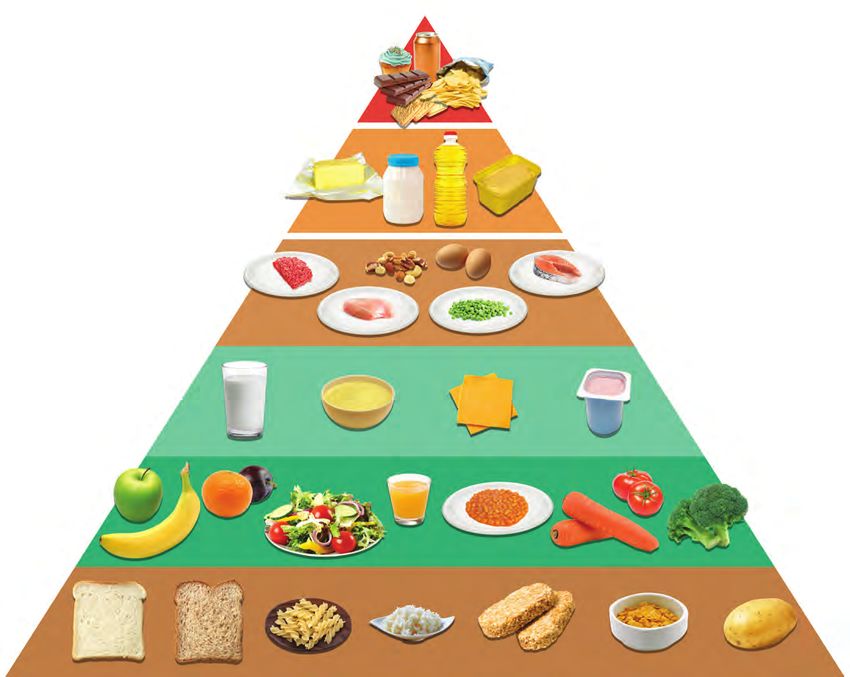 Your Guide To Healthy Eating Using The Food Pyramid New