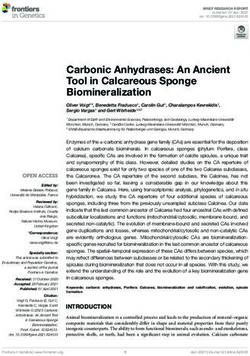 Carbonic Anhydrases: An Ancient Tool in Calcareous Sponge Biomineralization