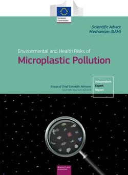 Microplastic Pollution - Environmental and Health Risks of Scientific Advice Mechanism (SAM) - EUROPA