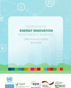 ENERGY INNOVATION INVESTMENTS IN BRAZIL - OVERVIEW OF DATA FOR AN ENERGY BIG PUSH