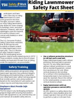 Riding Lawnmower Safety Fact Sheet - Texas Department of ...
