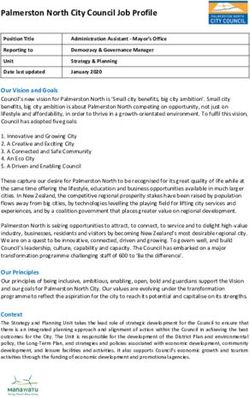 Palmerston North City Council Job Profile - Classifications ...