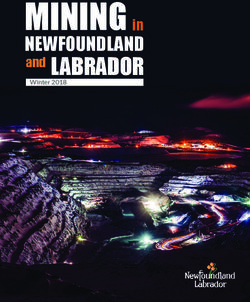 MINING LABRADOR NEWFOUNDLAND in - Natural Resources