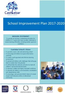 School Improvement Plan 2017-2020 - MISSION STATEMENT - Castlebar School