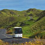 New Zealand NORTH ISLAND GARDEN TOUR 2020 - Ucango Travel