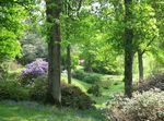 THE 2019 MEMBERS GUIDE TO ATTRACTIONS, GARDENS, HOUSES AND MUSEUMS - www.cpre.org.uk