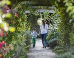THE 2019 MEMBERS GUIDE TO ATTRACTIONS, GARDENS, HOUSES AND MUSEUMS - www.cpre.org.uk