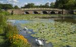 THE 2019 MEMBERS GUIDE TO ATTRACTIONS, GARDENS, HOUSES AND MUSEUMS - www.cpre.org.uk