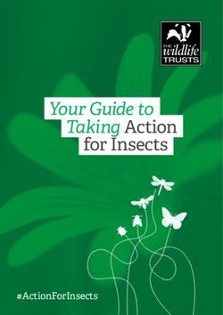 Your Guide to Taking Action for Insects - #ActionForInsects - Kent Wildlife Trust