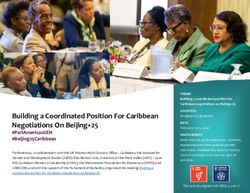 Building a Coordinated Position For Caribbean Negotiations On Beijing+25