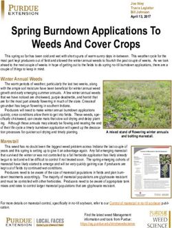 Spring Burndown Applications To Weeds And Cover Crops