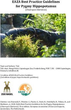 EAZA Best Practice Guidelines for Pygmy Hippopotamus