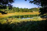 THE CITY OF WINOOSKI PARKS & OPEN SPACE MASTER PLAN - Public Session No. 2 - Omnes