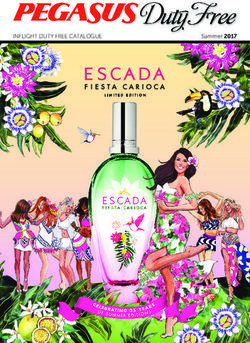 INFLIGHT DUTY FREE CATALOGUE - Summer 2017 - Pegasus