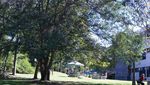 ROCKHAMPTON INTERNATIONAL STUDENT GUIDE - STUDENT SUPPORT SERVICES FOR INTERNATIONAL STUDENTS LIVING IN ROCKHAMPTON - English ...
