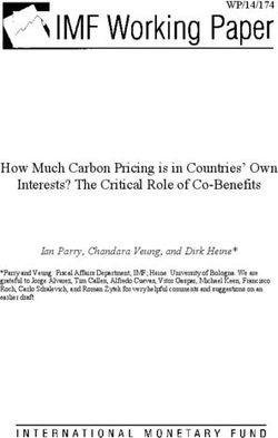 How Much Carbon Pricing is in Countries' Own Interests? The Critical Role of Co-Benefits