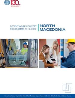 NORTH MACEDONIA DECENT WORK COUNTRY PROGRAMME 2019-2022 - ILO