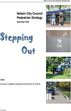 Nelson City Council Pedestrian Strategy - November 2005 - increase walking and physical activity in Nelson - Nelson Public ...
