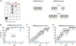 Revisiting the Role of the Medial Temporal Lobe in Motor Learning