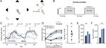 Revisiting the Role of the Medial Temporal Lobe in Motor Learning