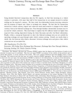 Vehicle Currency Pricing and Exchange Rate Pass-Through