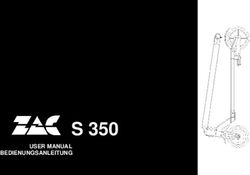 S 350 - Electric Scooter from ...