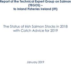 (TEGOS) - The Status of Irish Salmon Stocks in 2018 with Catch Advice for 2019 - Report of the Technical Expert Group on Salmon