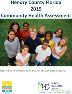 Prepared by: The Health Planning Council of Southwest Florida, Inc.