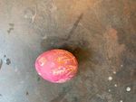 How to blow and dye eggs for Easter - Weald and Downland ...