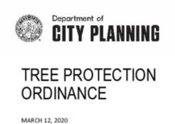 TREE PROTECTION ORDINANCE - MARCH 12, 2020 - Atlanta, GA