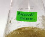 Anticariogenic Effect of Selenium Nanoparticles Synthesized Using Brassica oleracea