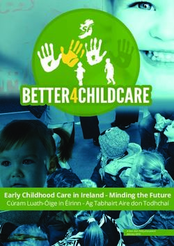Early Childhood Care in Ireland - Minding the Future - Cúram Luath-Óige in Éirinn - Ag Tabhairt Aire don Todhchaí - Sinn Féin