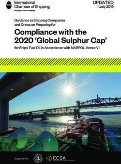 Compliance with the 2020 'Global Sulphur Cap' - UPDATED 1 July 2019 - International ...