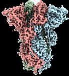 Announcement of UK and South Africa Trial Results - Nasdaq: NVAX | January 28, 2021 - Novavax