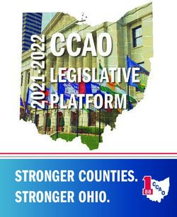 CCAO LEGISLATIVE PLATFORM - STRONGER COUNTIES. STRONGER OHIO - County ...