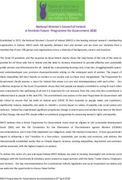 National Women's Council of Ireland A Feminist Future -Programme for Government 2020 - The National Women's ...