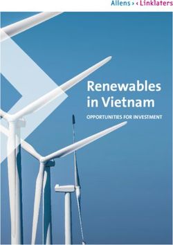 Renewables in Vietnam - OPPORTUNITIES FOR INVESTMENT - Allens