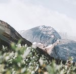 Online Worship - March 14, 2021 - Church of the Lakes