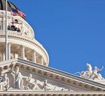 Californians & Their Government