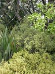 Snapshot: Wairarapa I Helping bees I Groundcovering weeds I Fencing tips Kakapo research I An interview with the new Chief Executive - QEII ...